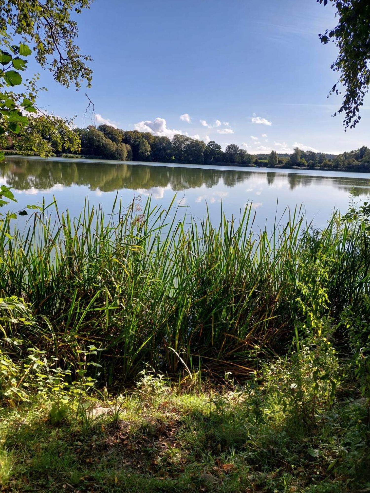 Ferienwohnung Malente Exteriör bild